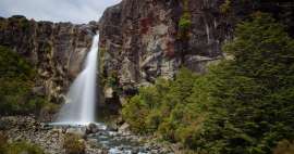 Caminata a las cataratas Taranaki