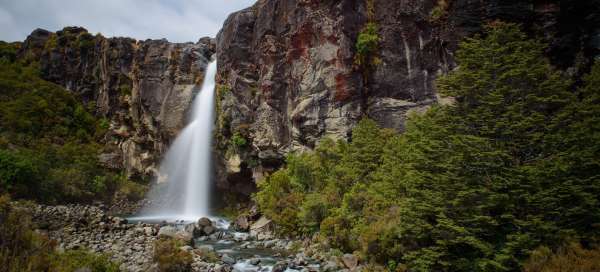 Túra k Taranaki Falls: Ubytování