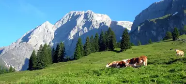 Caminhada em Königsweg