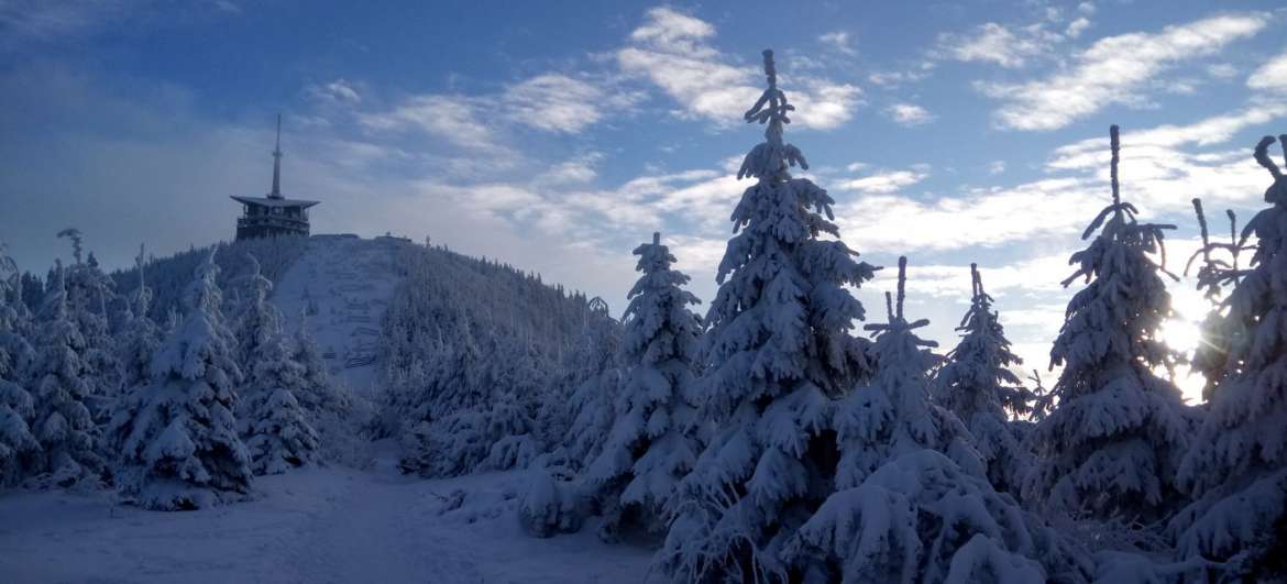 Zimowe wejście na Łysą Górę: Turystyka