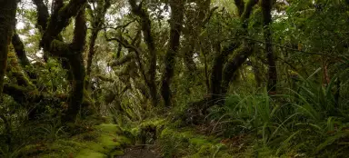 Túra k Dawson Falls