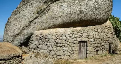 孟山都公司