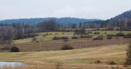 Javořice
