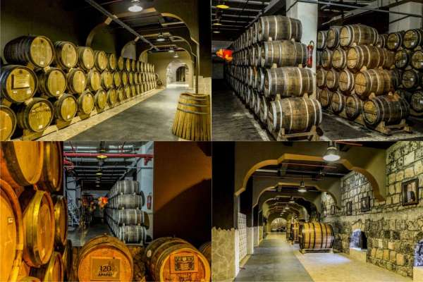 Musée et Distillerie du Cognac Ararat