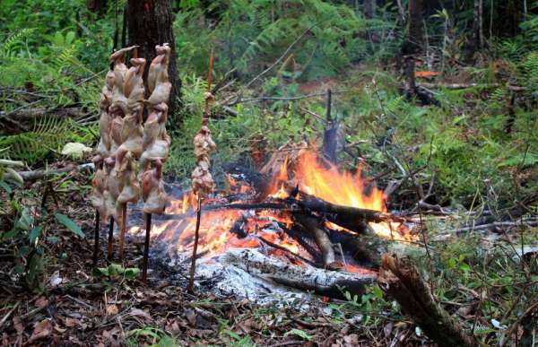 Cena nella foresta pluviale