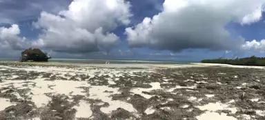 Carnet de voyage Zanzibar d'ouest en est