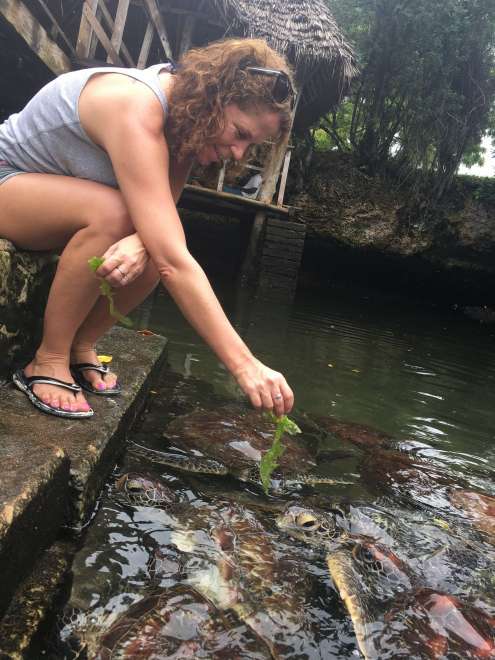 Ferme aux tortues - Nungwi