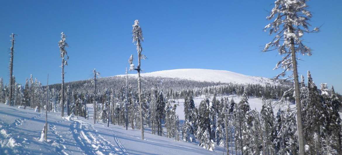 Winter ascent to Králický Sněžník: Hiking