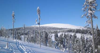 Ascension hivernale à Králický Sněžník