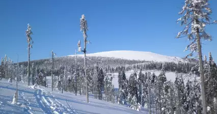 Ascenso invernal a Králický Sněžník