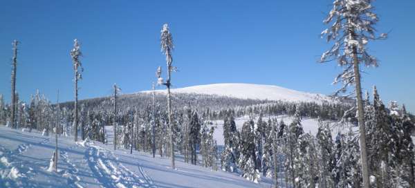 Ascension hivernale à Králický Sněžník