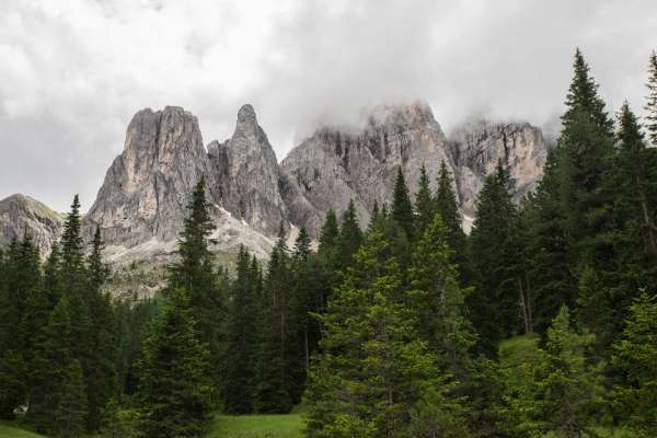 L'inizio del sentiero