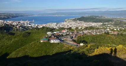 View from Wrights Hill