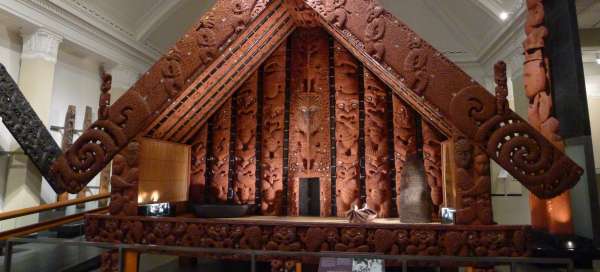 Auckland War Memorial Museum: Unterkünfte