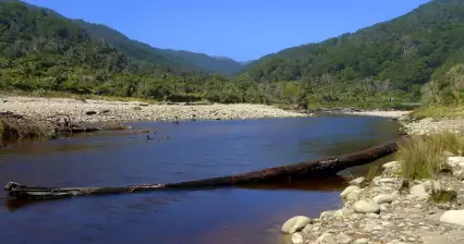 Kohaihai River