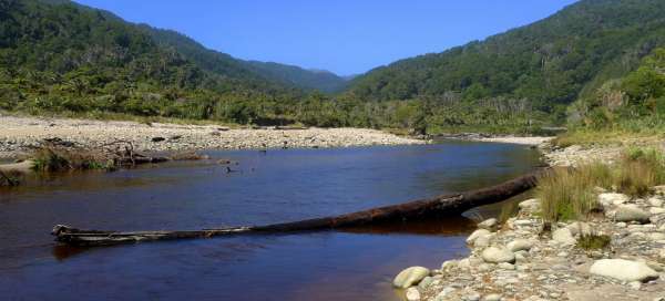 Kohaihai River: Stravování