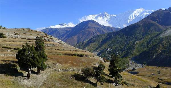 Picturesque countryside near the village