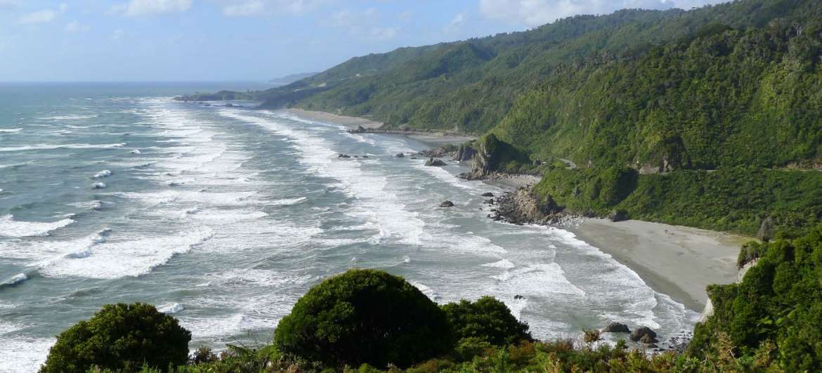新西兰: 海滩和游泳