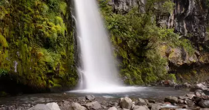 Dawson Falls