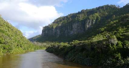 Parque Nacional Paparoa