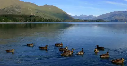 Wanaka Lake