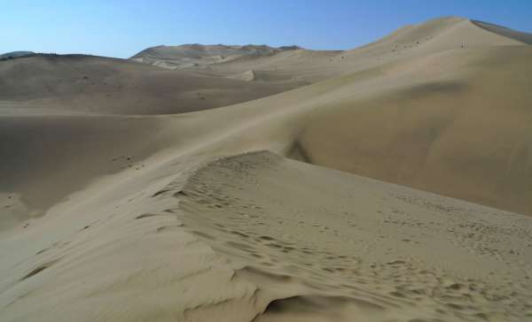 Le monde insondable des dunes