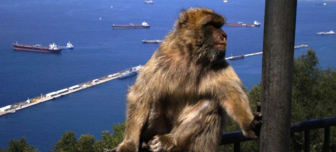 Trip to Gibraltar: Hiking