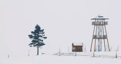 Смотровая башня Туловцова