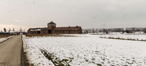 Auschwitz-Birkenau II: Transporte