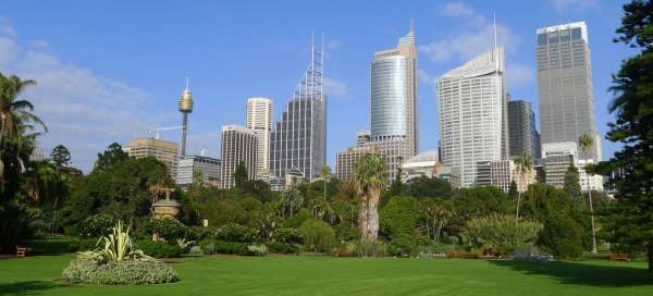 Botanischer Garten von Sydney: Tourismus