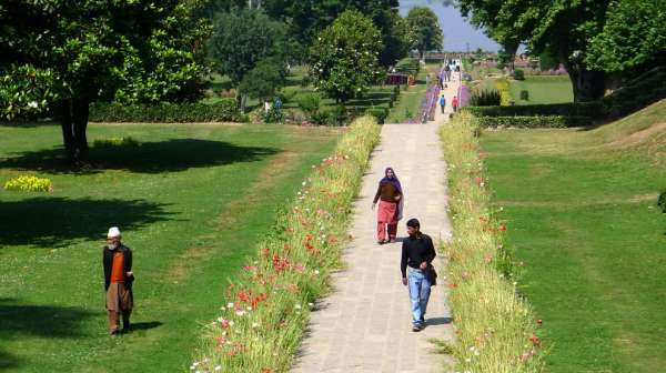 Endless flower beds