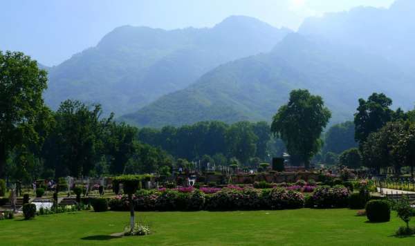 Cresta de las montañas detrás del jardín