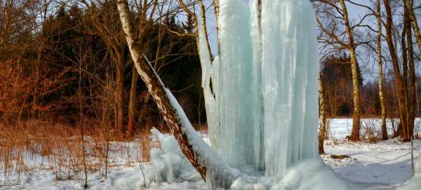 Stalagmite de glace de Lovětín