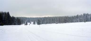 Esqui cross-country ártico em Šumava
