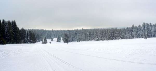 Artistic cross-country skiing in Šumava: Weather and season