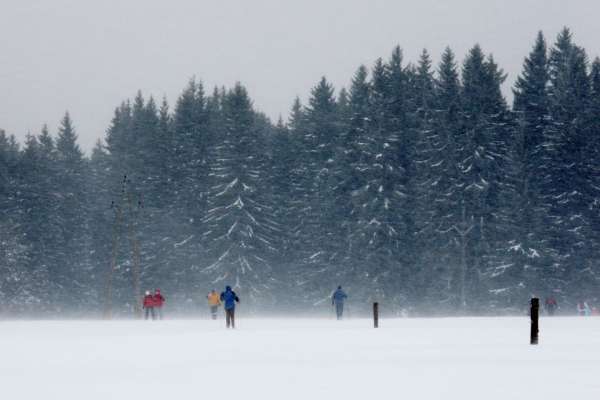 Langlaufers in een sneeuwstorm