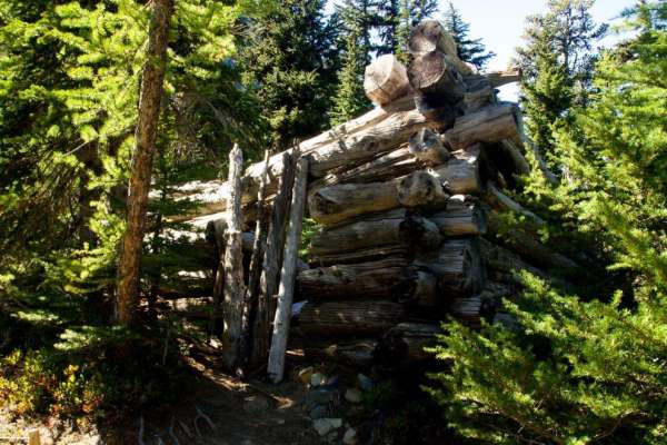 Cabana de madeira abandonada