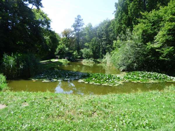 Zona tranquilla del parco