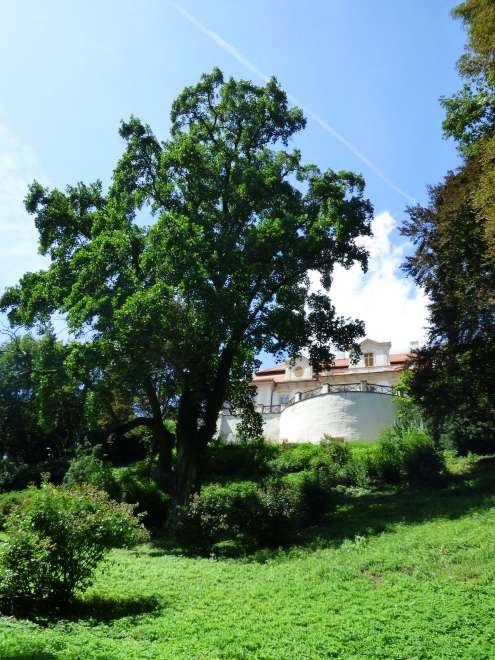 Parque do Castelo 2