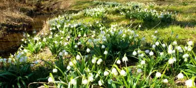 PR Velká y Malá Olšina, PR Hroznětínská louka