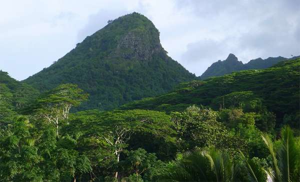 The massif above the jungle