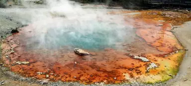 Бассейн Норрис Гейзер