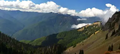 Hurricane Ridge