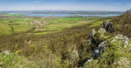 Pavlovské vrchy