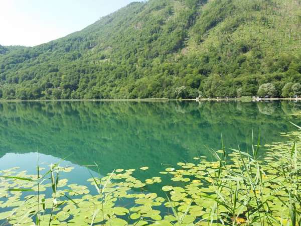 Jezioro Boračko