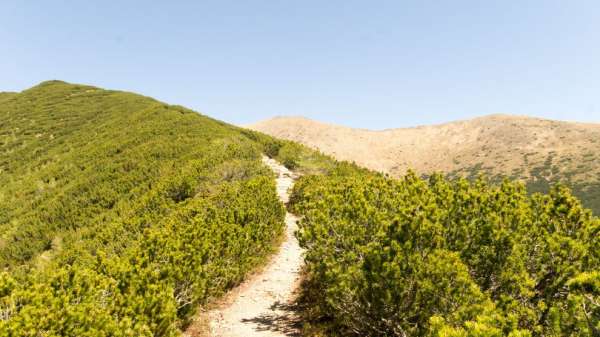 Camino a la cima