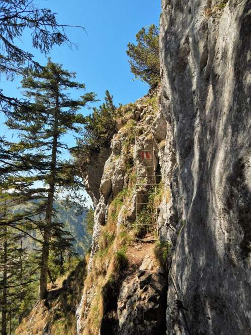 Cordes et échelles en acier