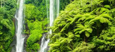 Cascadas de Sekumpul