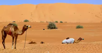Poušť Wahiba Sands