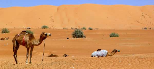Púšť Wahiba Sands: Víza